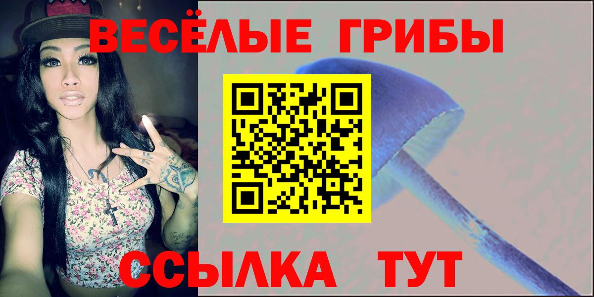 Псилоцибиновые грибы Cubensis Верхний Уфалей