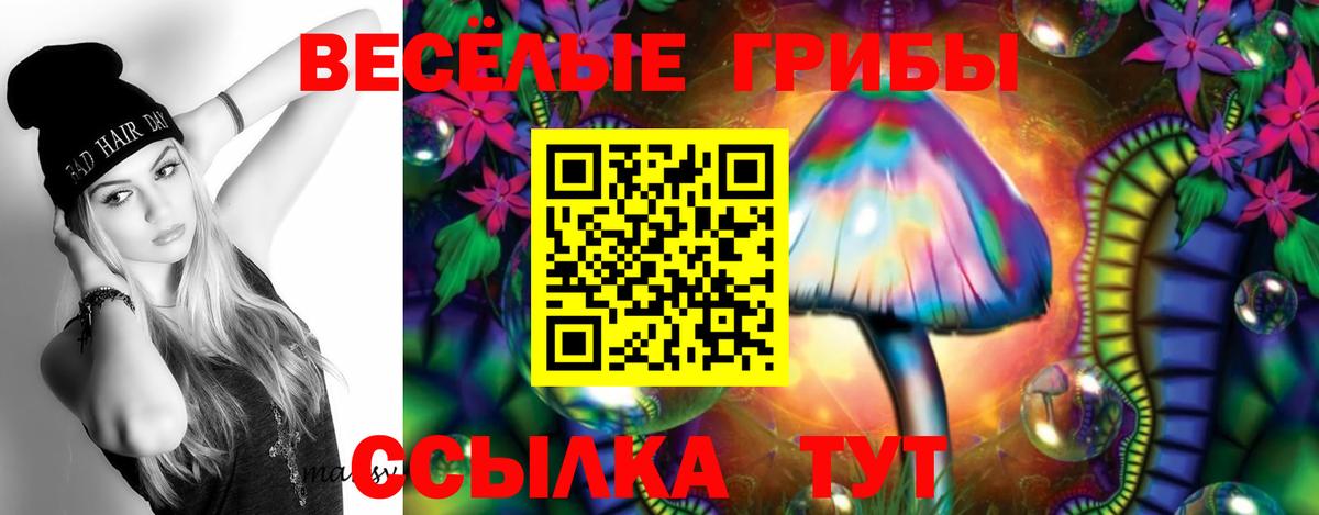 Псилоцибиновые грибы Psilocybine cubensis  Вход с VPN  Верхний Уфалей 